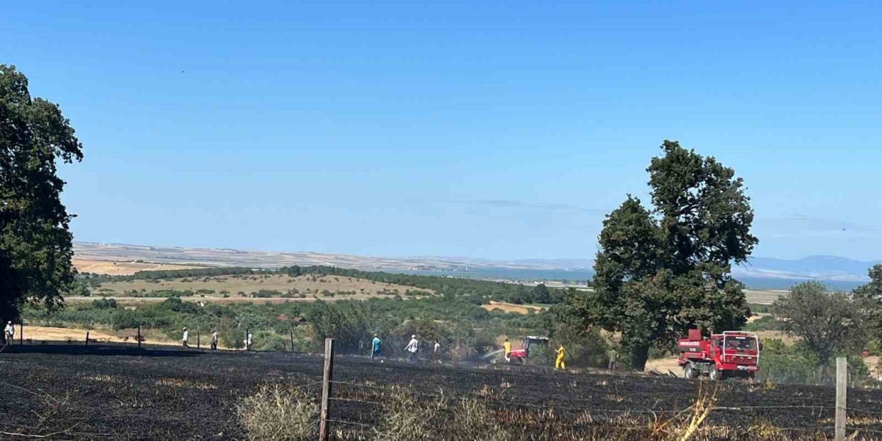 Gönen’de arazi yangınında 20 dönüm kül oldu