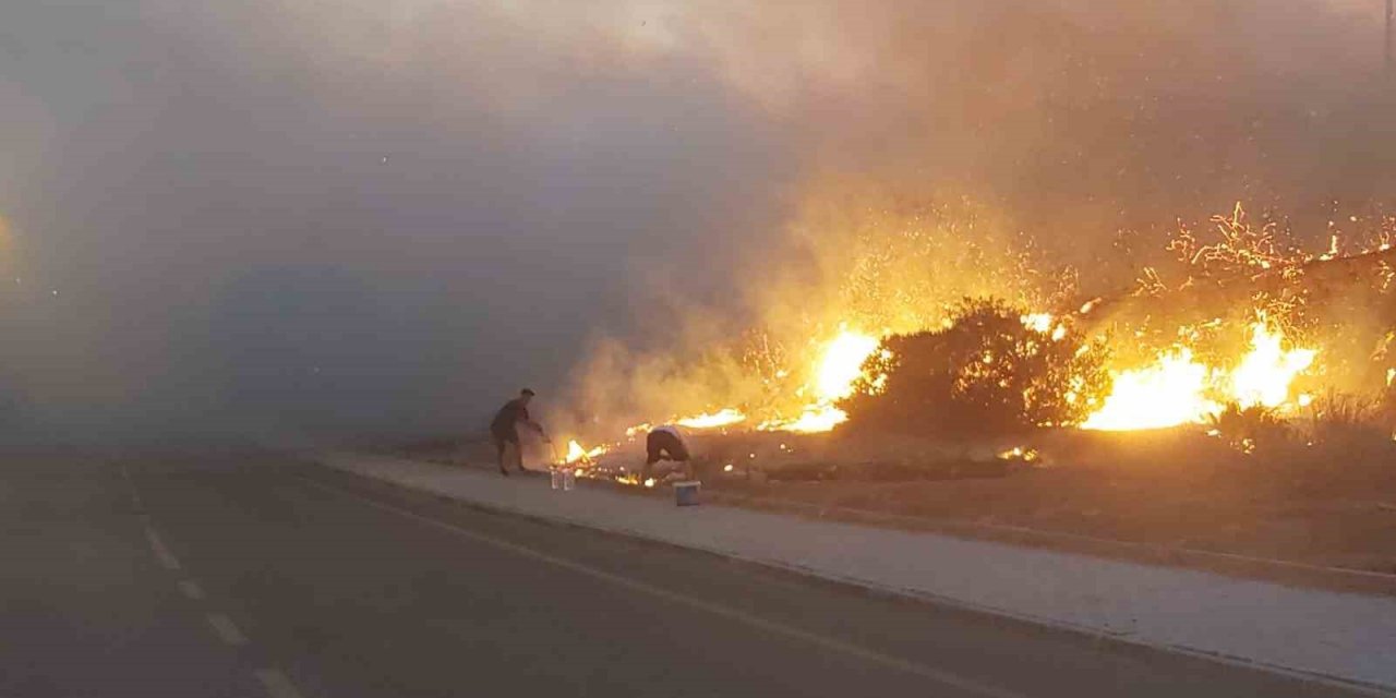 Didim’de makilik yangını