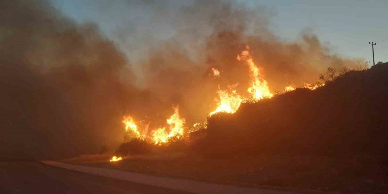 Didim’de makilik yangını kontrol altına alındı