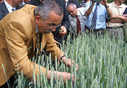 Erkeklerin gizli dünyası