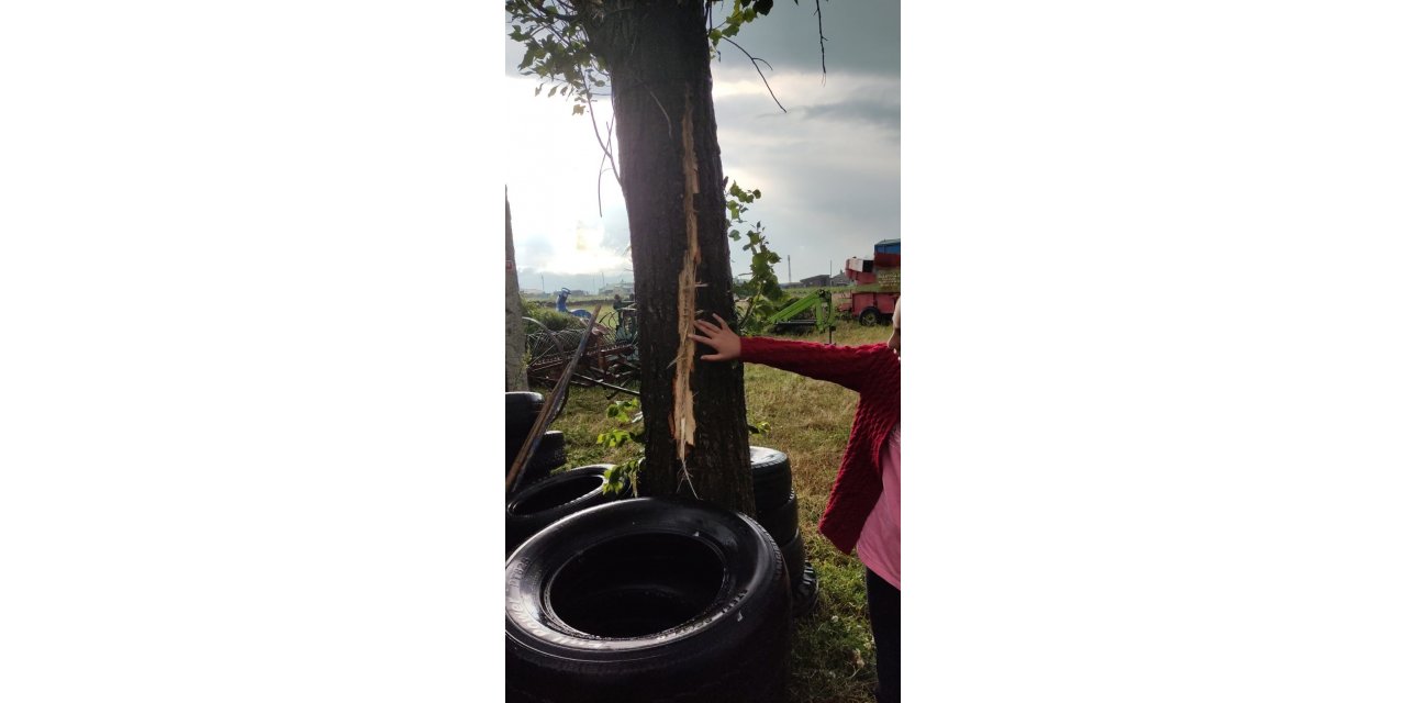 Kars’ta bir evin bahçesindeki ağaca yıldırım düştü