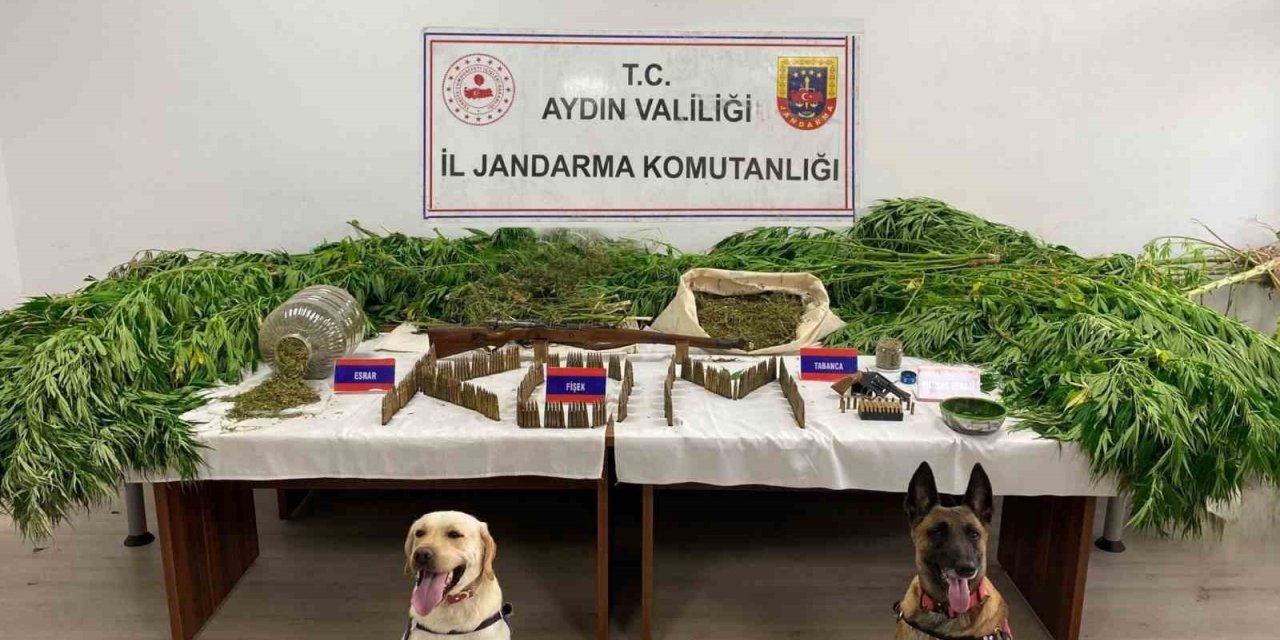 Aydın’da son 6 ayda 50 ton uyuşturucu madde ele geçirildi