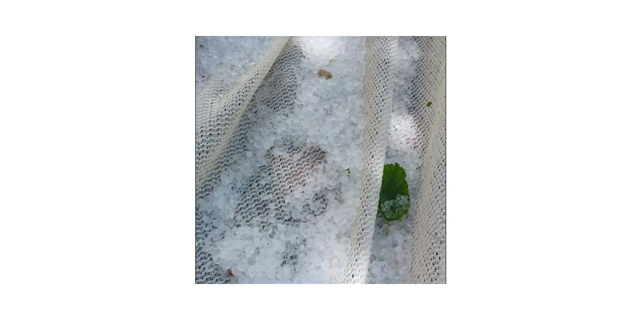 Türkiye’nin dut merkezini dolu vurdu