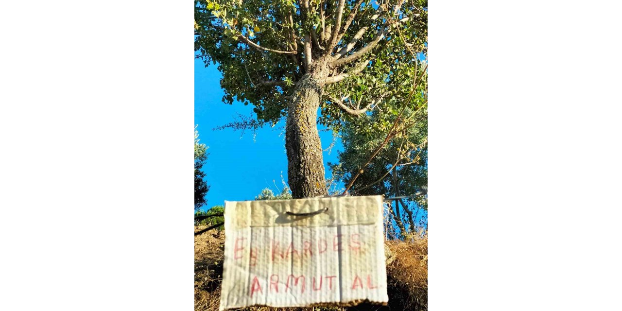 Aydın’da paylaşmanın önemini gösteren not