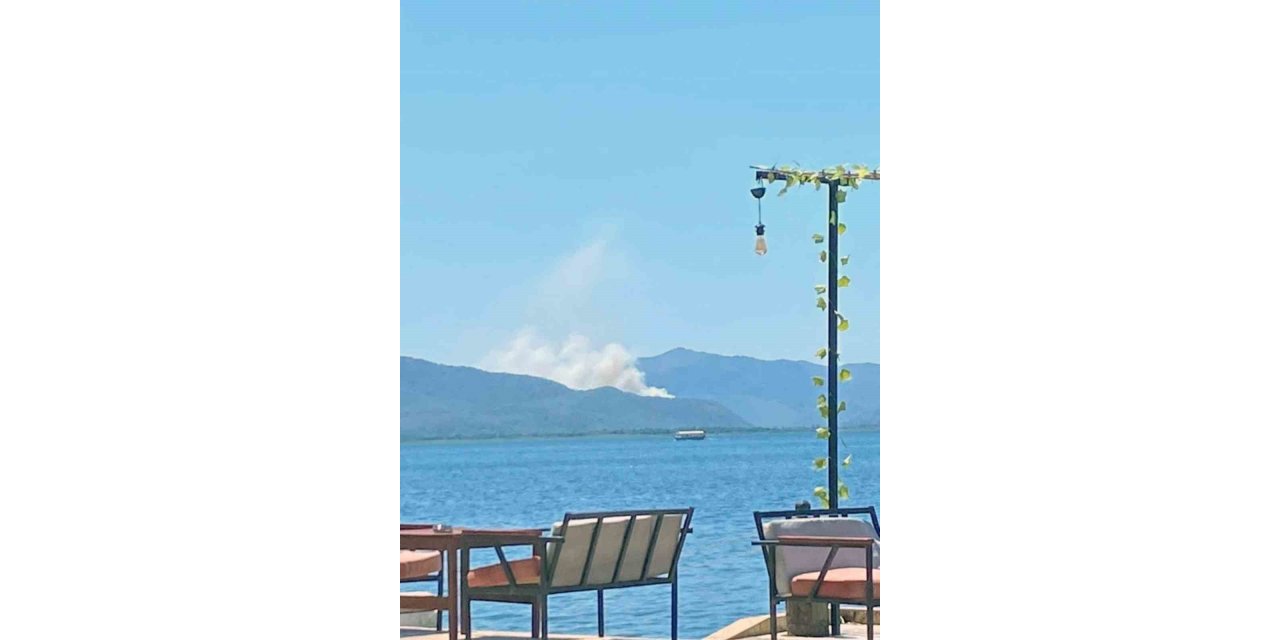 Ortaca’da orman yangını