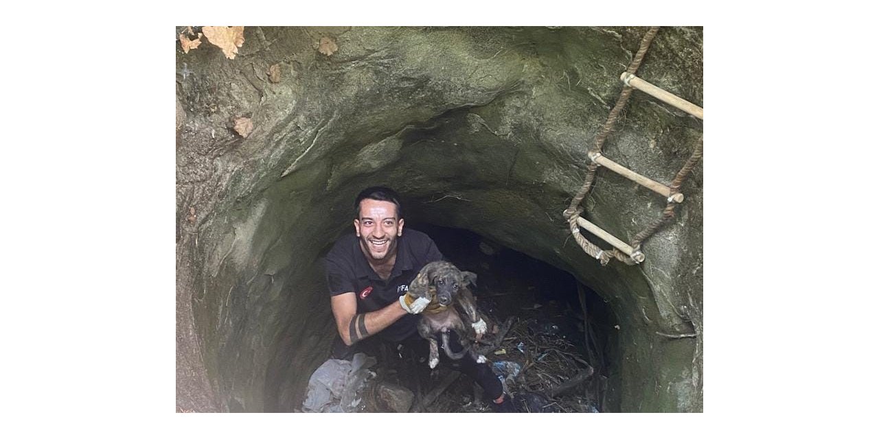 Silvan’da kuyuya düşen köpeği itfaiye ekibi kurtardı