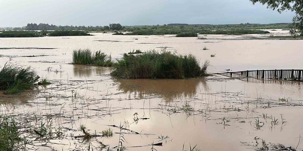 Efteni Gölü yağışlar sonrası taştı