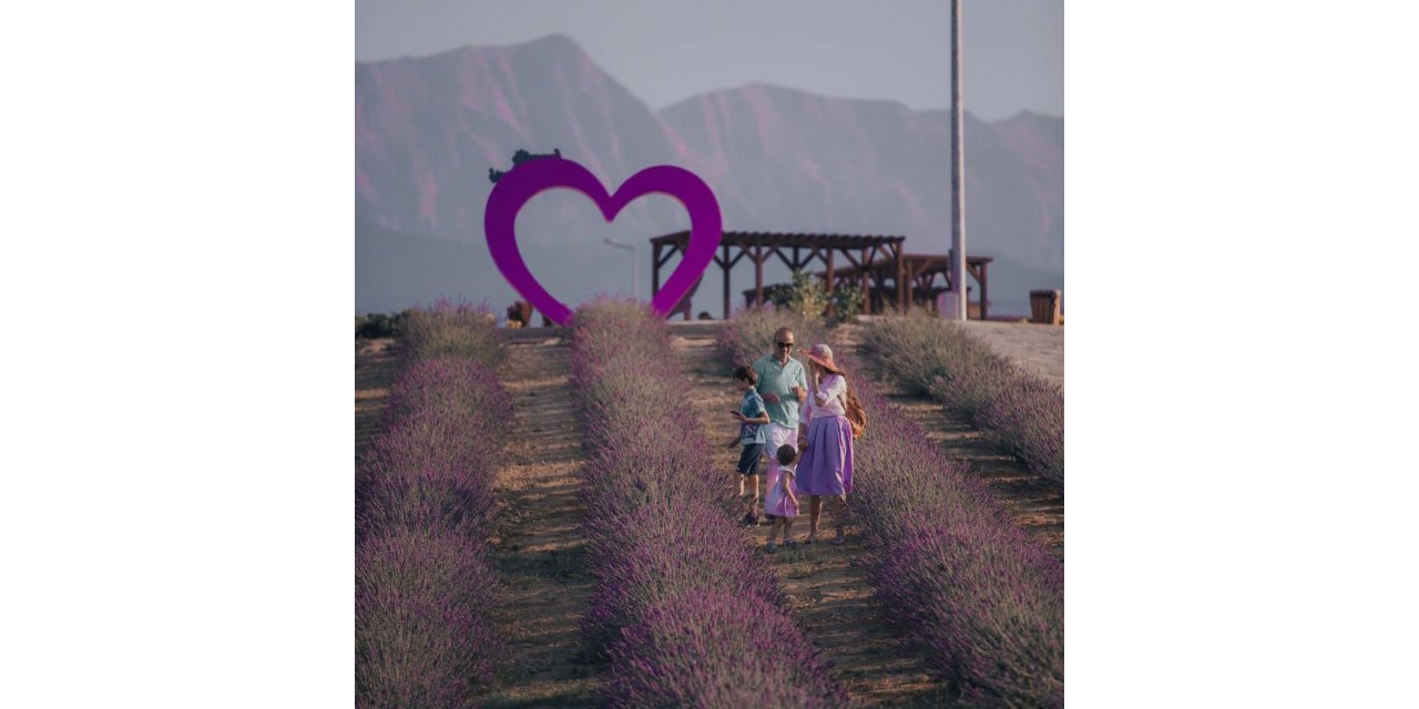 Merkezefendi’nin mor güzelliği misafirlerini bekliyor