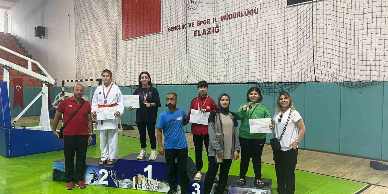 Batmanlı karateciler dereceyle döndü