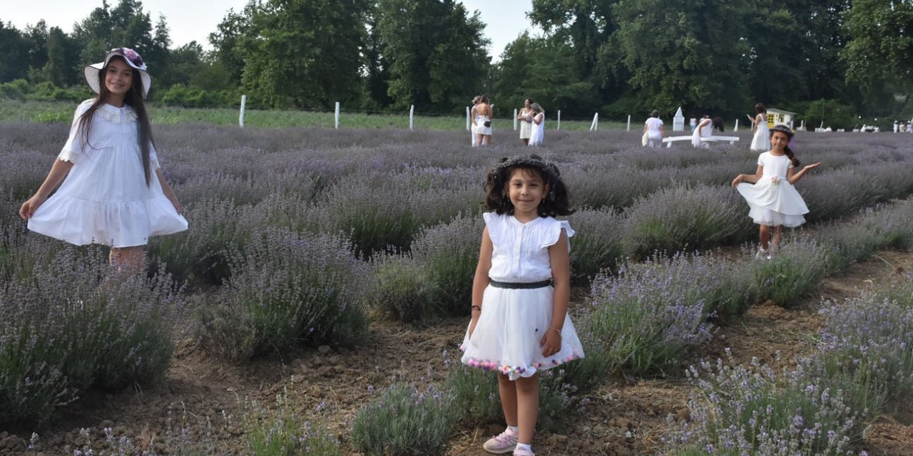 Lavanta tarlası alternatif turizm rotası oldu