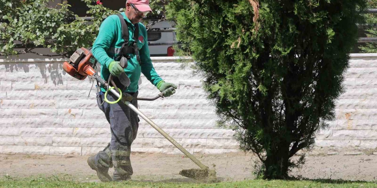 Efeler’in parkları pırıl pırıl oluyor