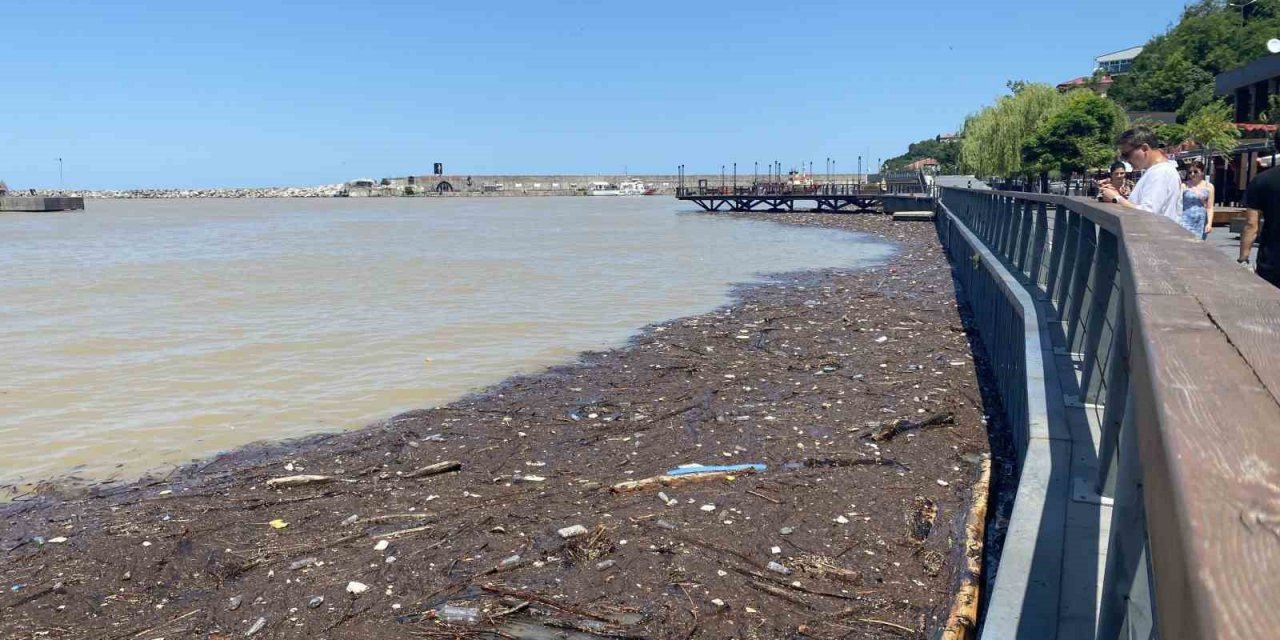 Yağmur sonrası çöp ve odun parçaları limanda toplandı