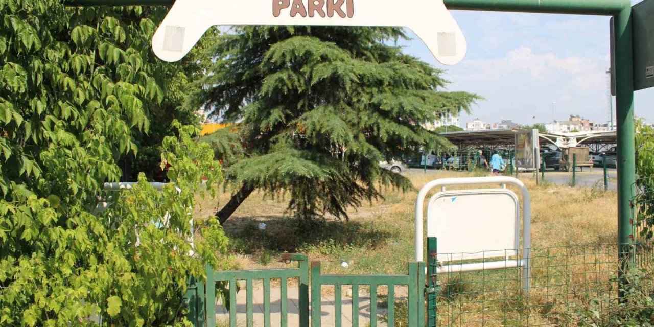 Can dostlar köpek parkı sahipsiz kaldı