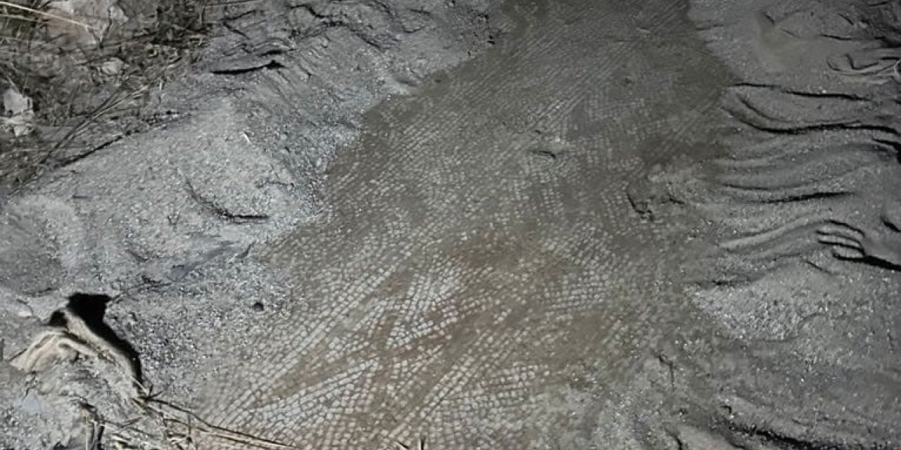 Koruma altındaki mozaik çevresinde kaçak kazıya suçüstü