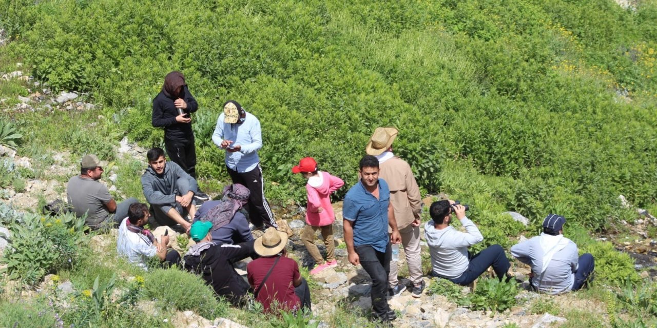Temmuz sıcağında Mereto Dağı’nda kar yiyerek serinlediler