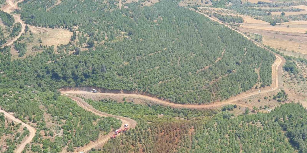 Valilik uyardı: "Manisa’da sıcak havayla birlikte orman yangın riski de artacak"