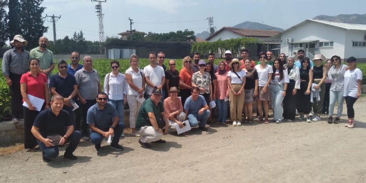 Aydın inciri Muğla’da da yetişecek