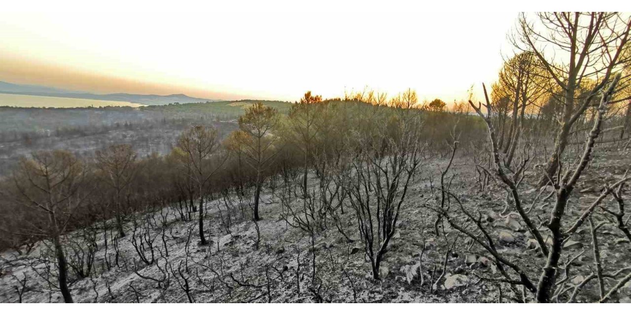 İzmir’deki orman yangınlarında soğutma çalışmaları sürüyor
