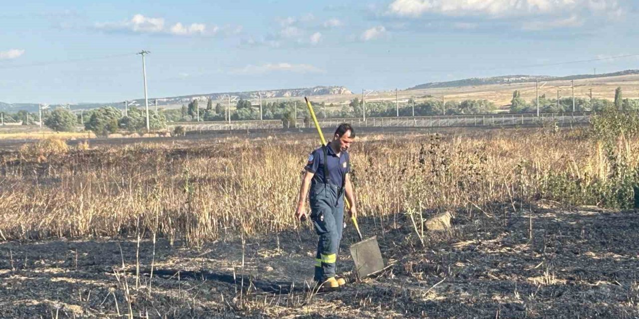 Elektrik akımına kapılan kuşun sebep olduğu yangında 60 dönüm hububat arazisi zarar gördü