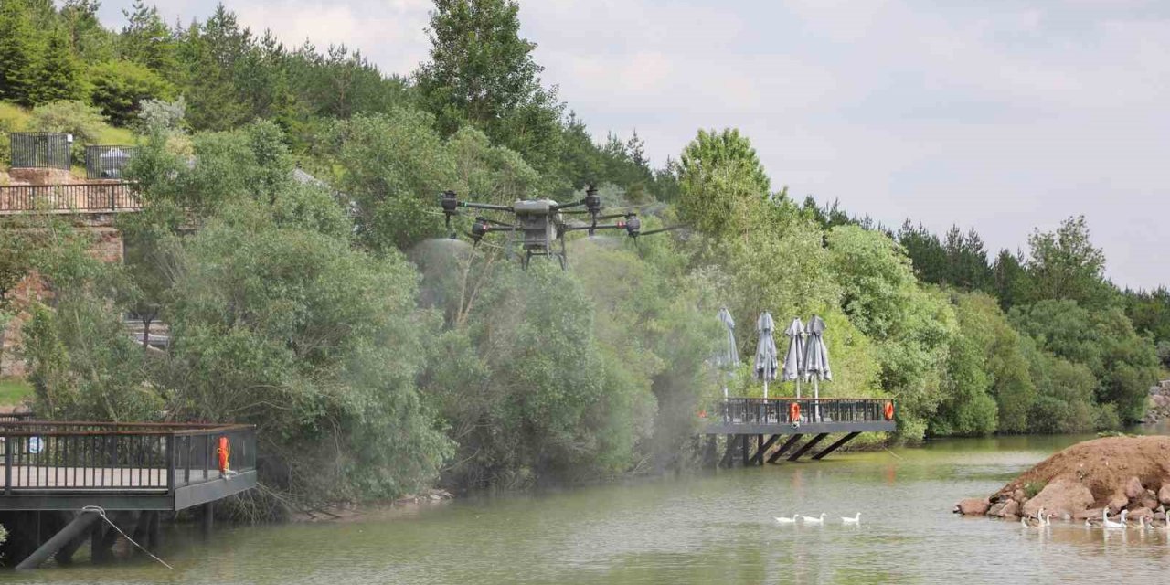 Tarımdan sonra sinek ilaçlamasında da drone devri