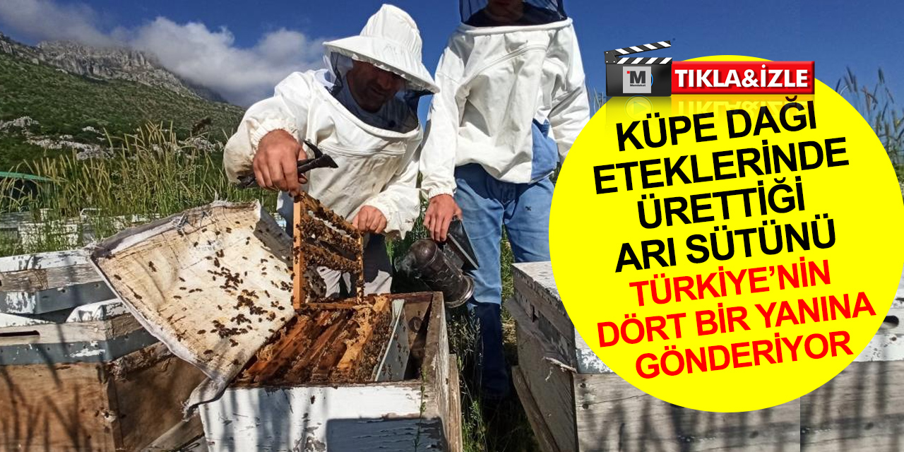 Konya'nın 2 bin 535 rakımlı efsane Küpe Dağı eteklerinde şifa kaynağı arı sütü üretiyor