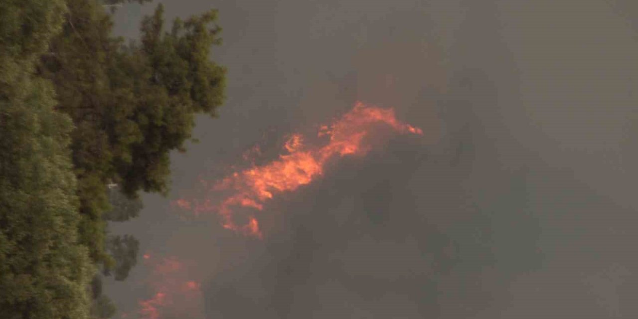 Valilikten sıcak hava ve yangın riski uyarısı