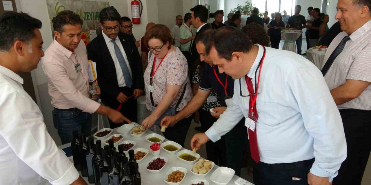 Çanakkale’de yüksek kaliteli zeytin ve zeytinyağı üretimi hedefleniyor