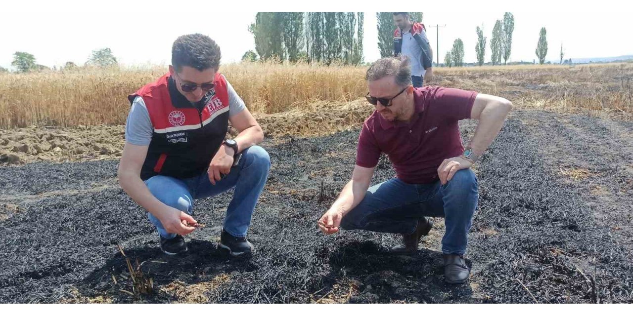 Tepebaşı İlçe Tarım Müdürlüğü yangın çıkan tarlalarda inceleme yaptı