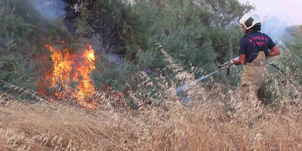 Balıkesir’de karganın neden olduğu anız yangını korkuttu