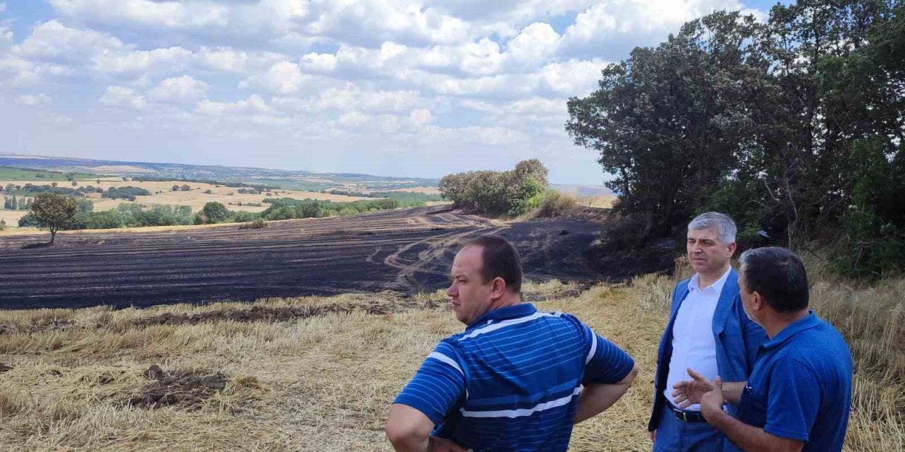 Tarım yetkilileri, Paşayiğit’te küle dönen 2 bin 330 dönüm araziyi inceledi