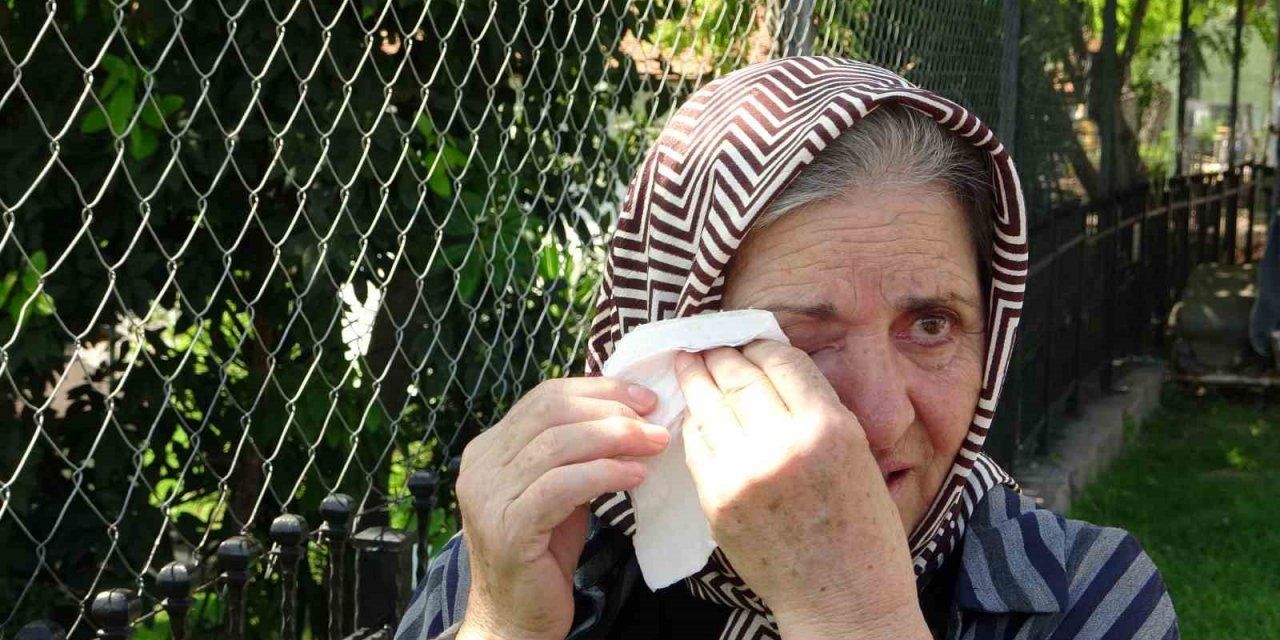 Dünyaca ünlü falezlerdeki yangın ağlattı