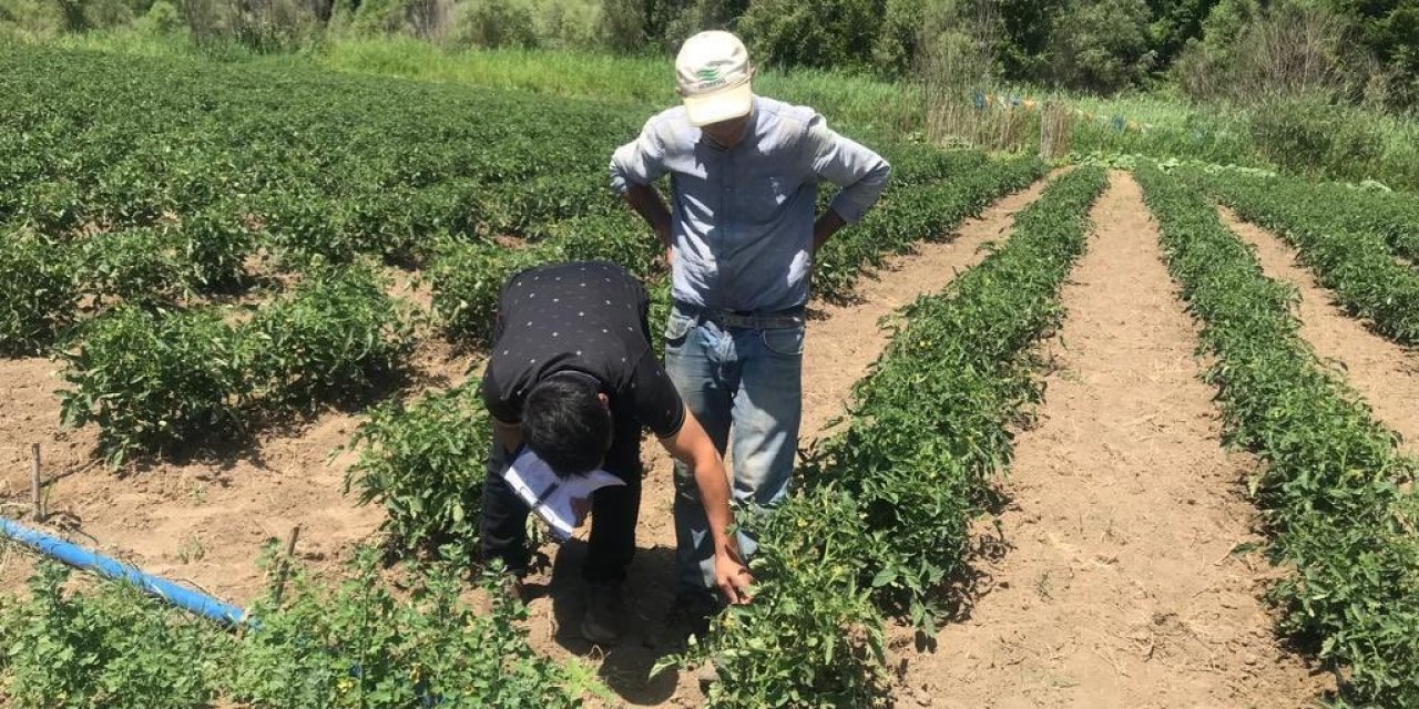 Bingöl’de yüzde 75 hibe dağıtılan fidelerin kontrolleri yapılıyor