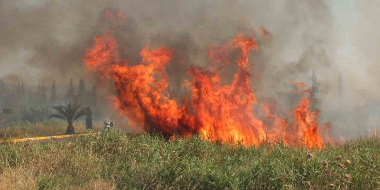Balıkesir’de sazlık yangını yol kapattırdı