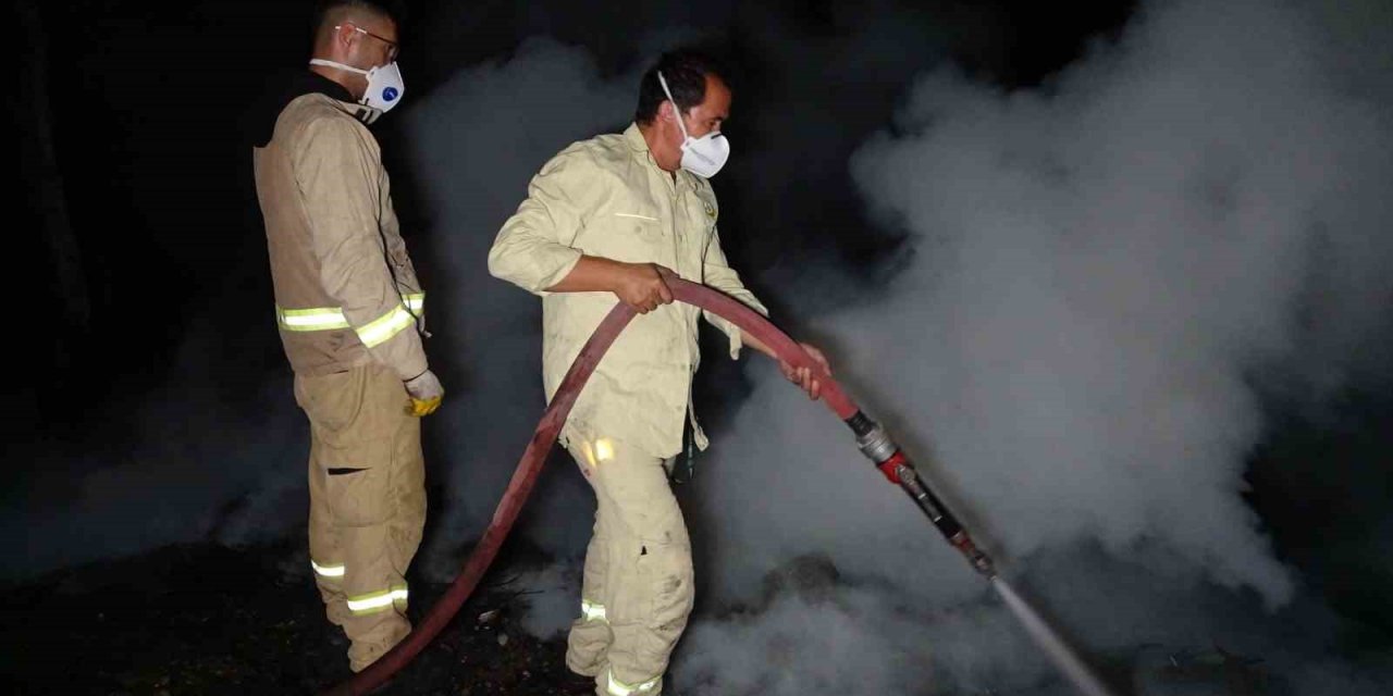 Önce evini, sonra ormanı yakmaya kalktı