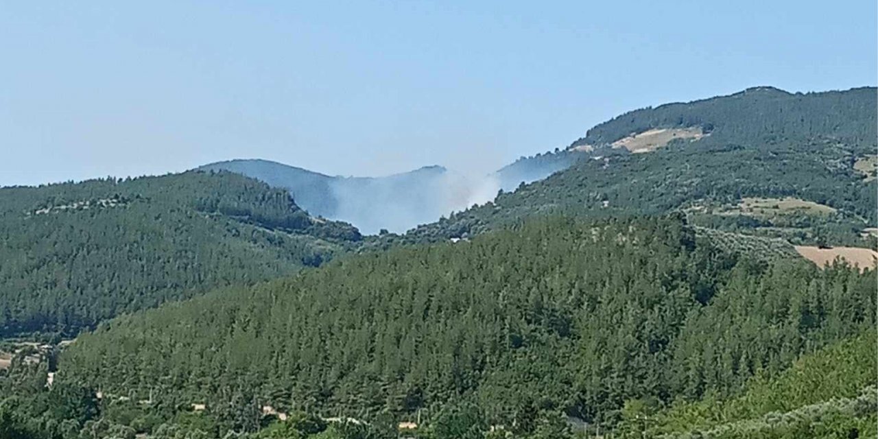 Osmaniye’deki orman yangını söndürüldü