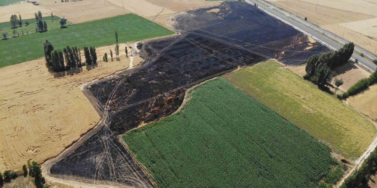 Havada güvercin kovalayan atmaca bakın neye sebep oldu?