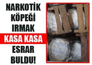 Meyve kasalarından 170 kilo esrar çıktı