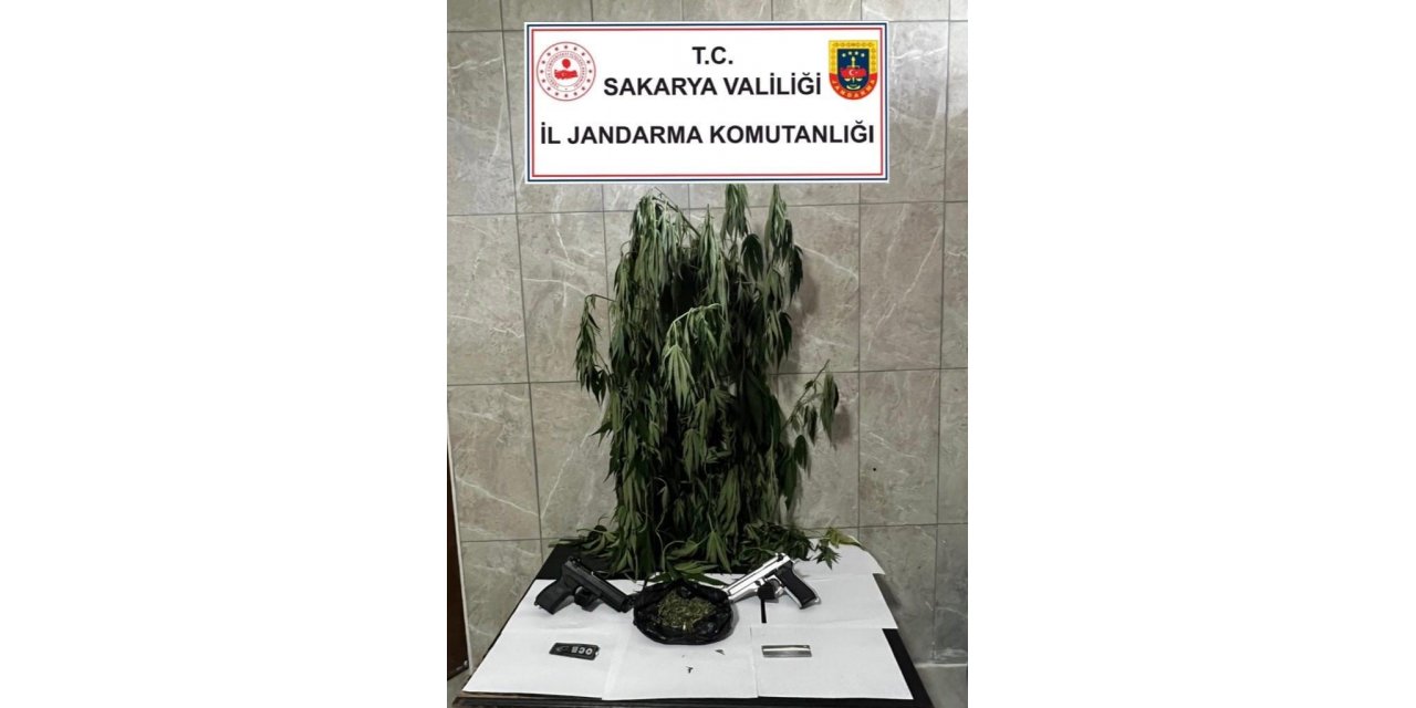 Jandarmadan uyuşturucu operasyonu: 1 gözaltı