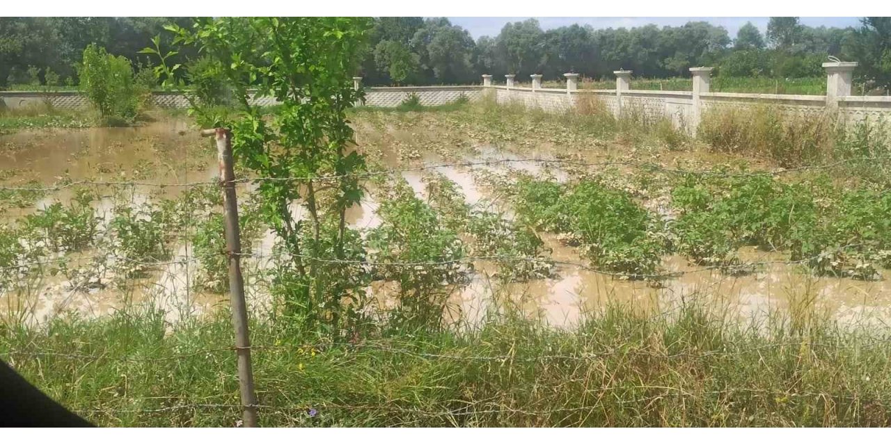 Bolu’da sel felaketinin zararı tespit ediliyor