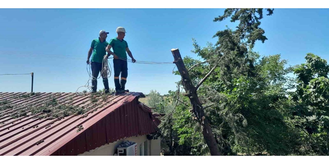 Ağaç lojmanın üzerine devrildi, ekipler kaldırdı