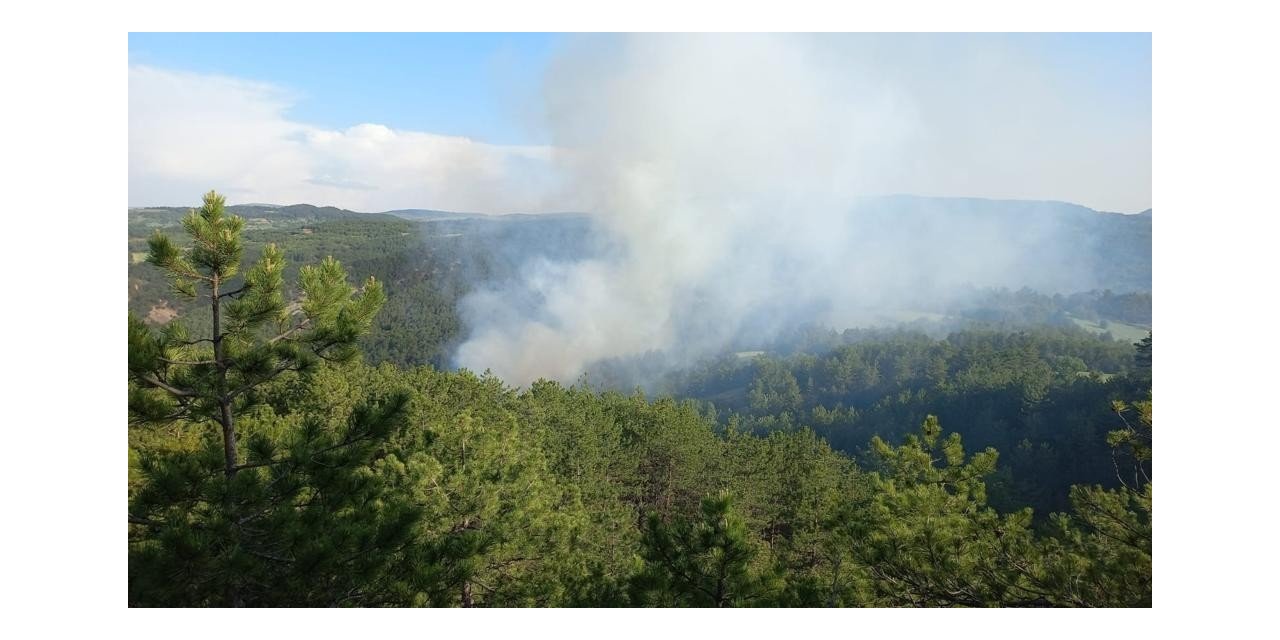 Bolu’da ormanlara giriş yasaklandı