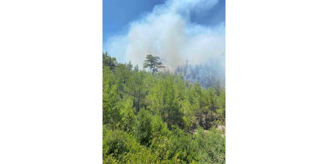 Kaş’taki orman yangını havadan ve karadan müdahaleyle kontrol altına alındı