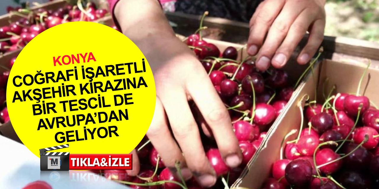 Konya Akşehir Kirazı Kültür ve Sanat Festivali’nde çiftçilere ödül