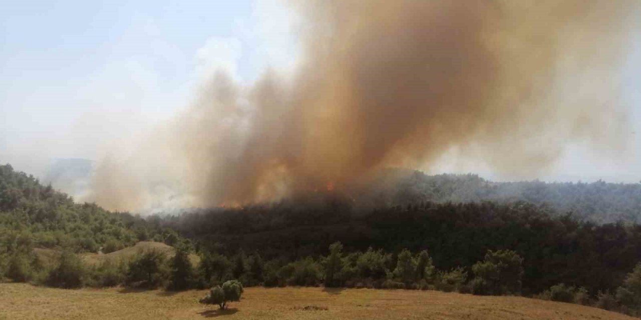 Adana’da orman yangını: Ekipler müdahaleye başladı