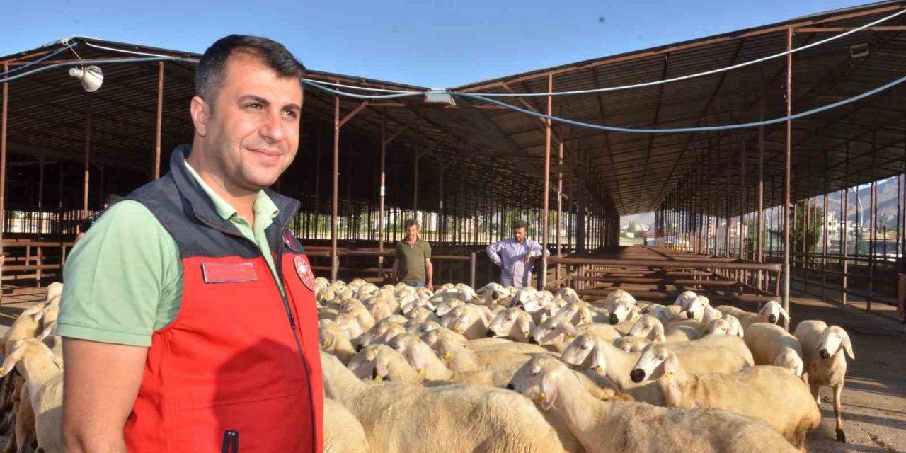 Elbistan’da depremzede üreticilere 754 koyun dağıtıldı