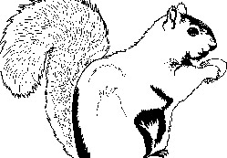 Küçük Sincabın Seyahati