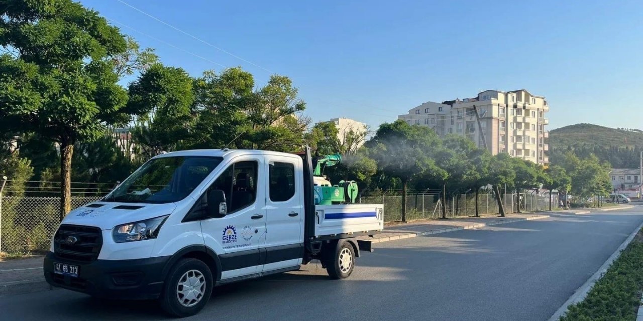 Açık alanlara durgun su bırakmak sinek oluşumunu engelliyor