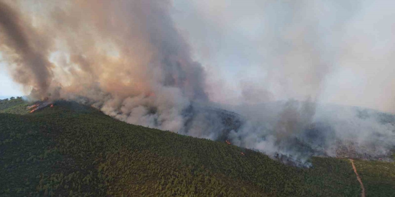 Milas’taki orman yangını havadan görüntülendi