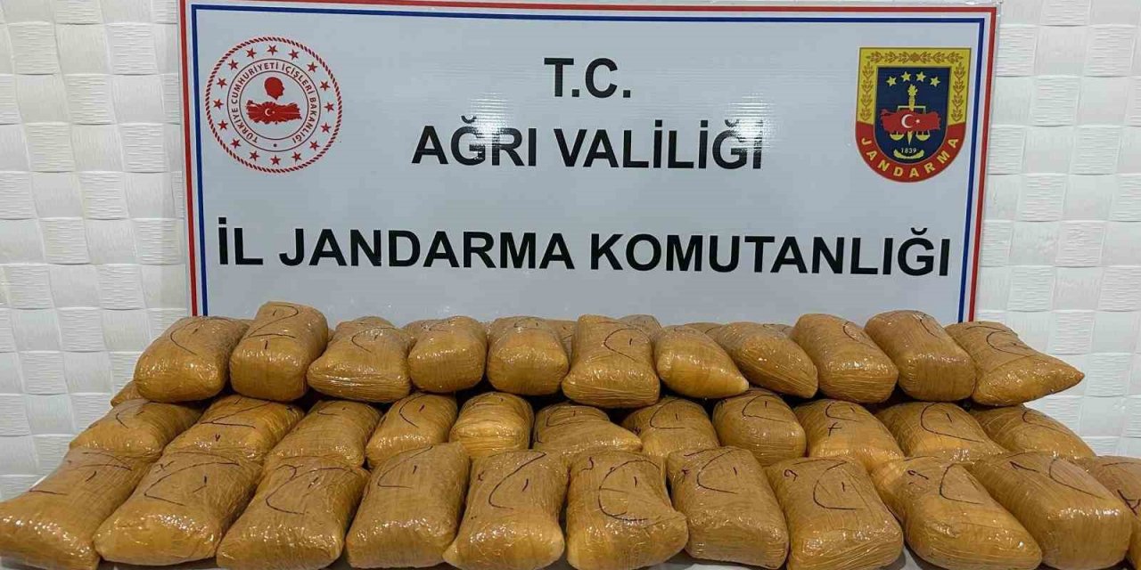 Kaçak göçmenler uyuşturucuyla yakalandı