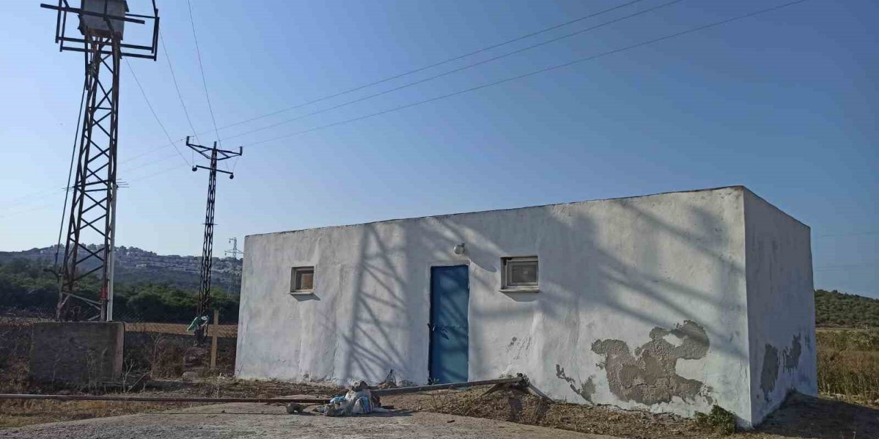 Enerji nakil hattına konan kargalar ormanı yaktı